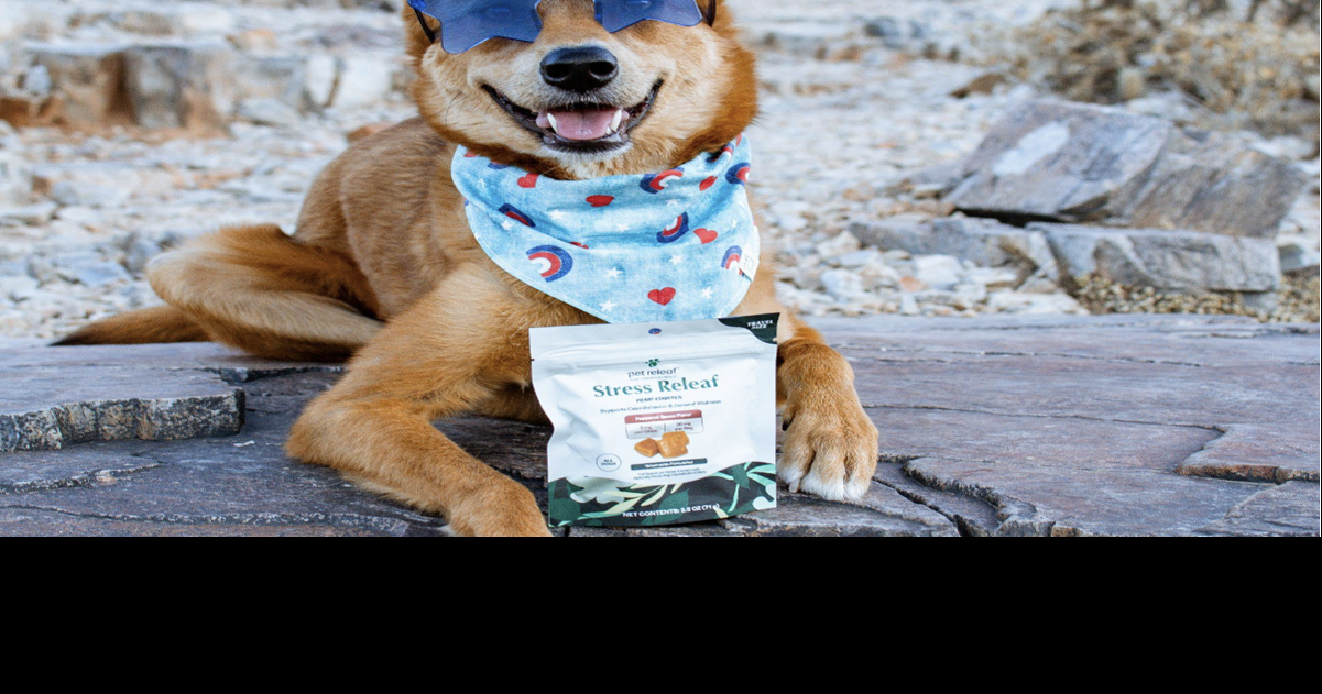 The 4th of July: Keeping Your Pet Safe and Calm
