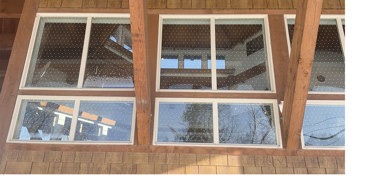 Alaska Zoo adds feather-friendly decals to prevent bird collisions