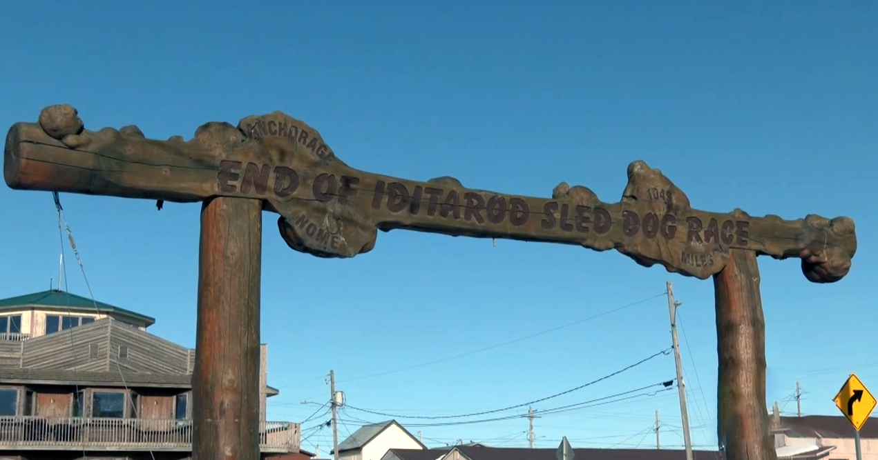 Iditarod's Grand Finale: Nome welcomes global spectators, anticipation peaks for finish - Vimarsana News