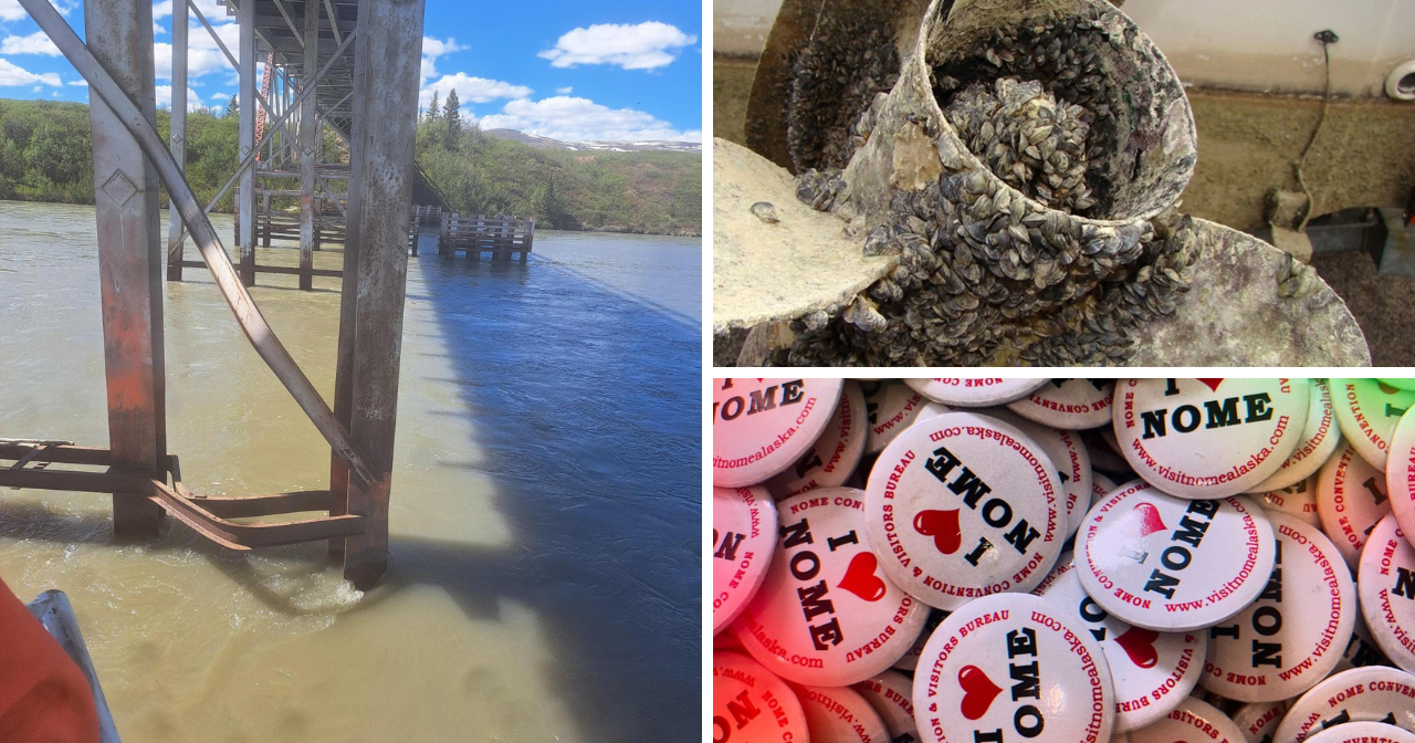 AROUND ALASKA: Bridge Issues, Invasive Species, and Visit Nome! - Vimarsana News