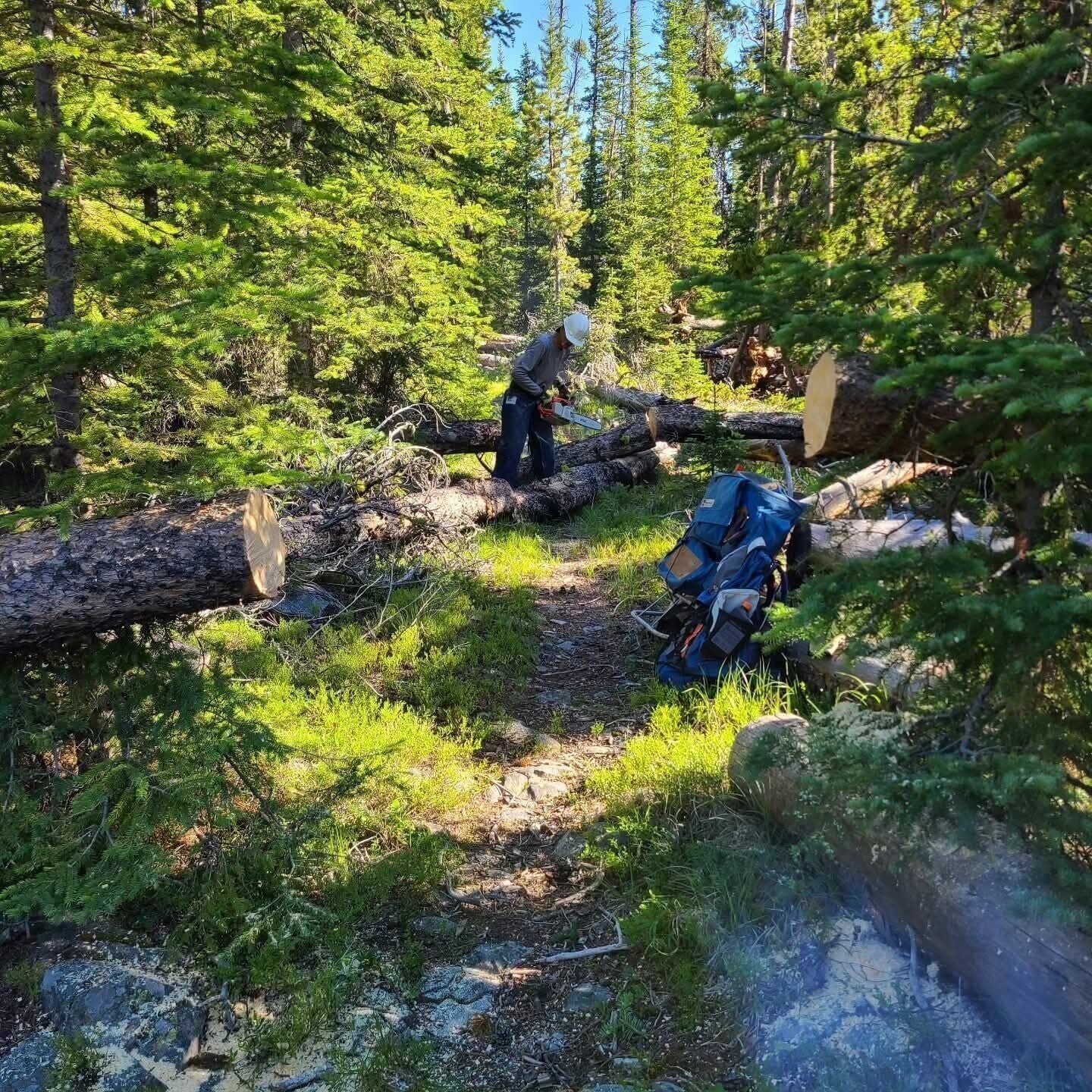 <a href="https://www.youralaskalink.com/news/national/helena-volunteers-clear-storm-hit-elkhorn-trails-for-recreation-access/article_40f52d58-7d2c-55e3-8627-3ea493d92a1c.html" target="_blank">Helena volunteers clear storm-hit Elkhorn trails for recreation access</a>
