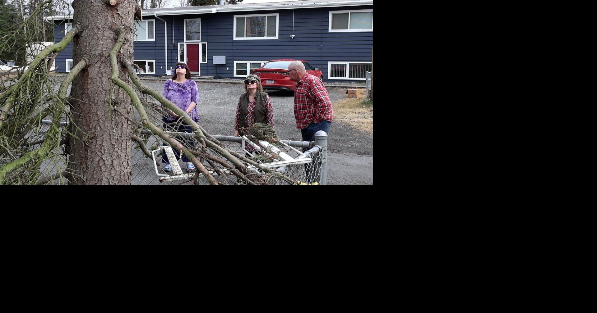Anchorage residents upset over tree removal by Chugach Electric