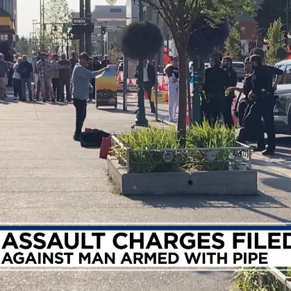 APD arrest man after assault - Vimarsana News