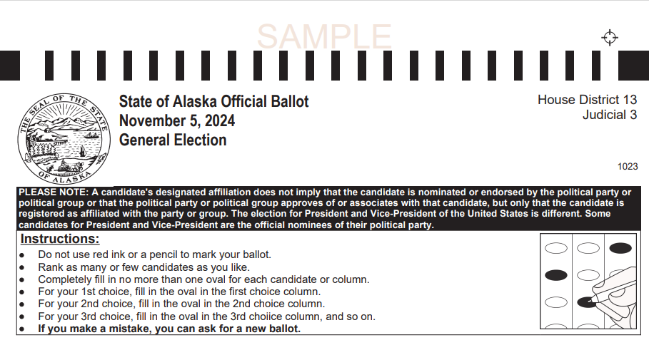 Breaking down the ballot: what you need to know this November election ...
