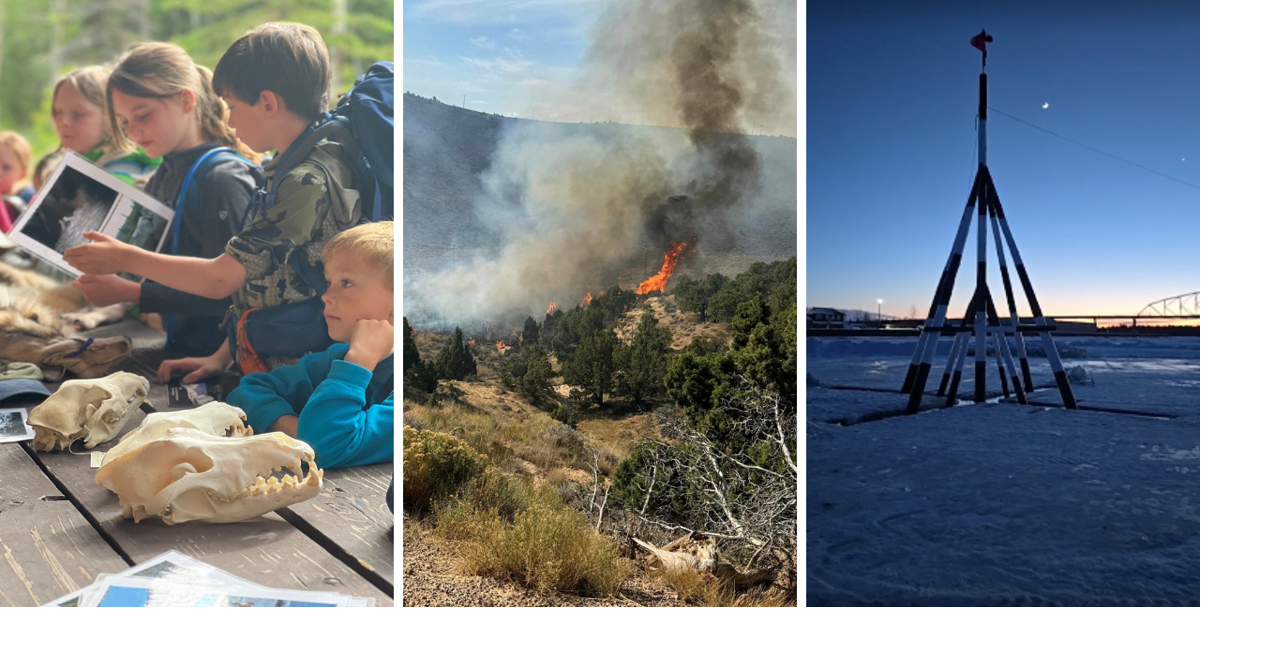 AROUND ALASKA: Denali Camps Canceled, Firewise Event, and Nenana Ice ...