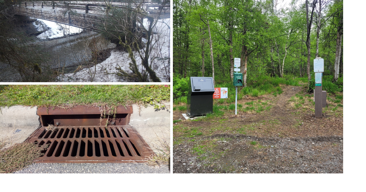 AROUND ALASKA: Brotherhood Bridge, Storm Drain Art and Scoop the Poop ...