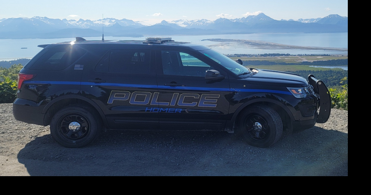 Homer man pleads guilty to 2nd-degree murder in 2019 killing of Anesha ...