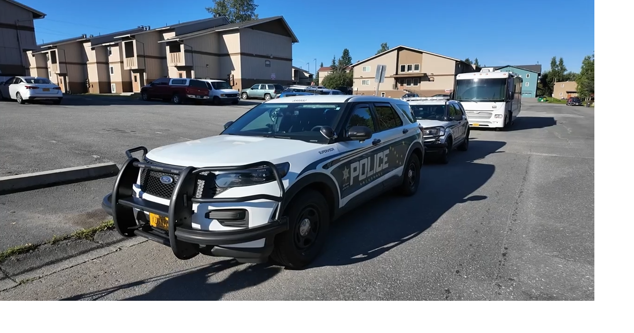 Anchorage police release 2024 report showing calls and officer-involved ...