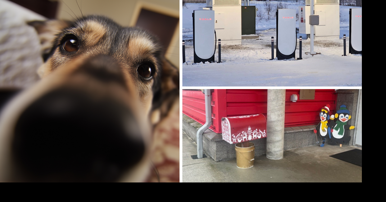AROUND ALASKA: EV Charging, Dog Licensing, and Santa's Mailbox!