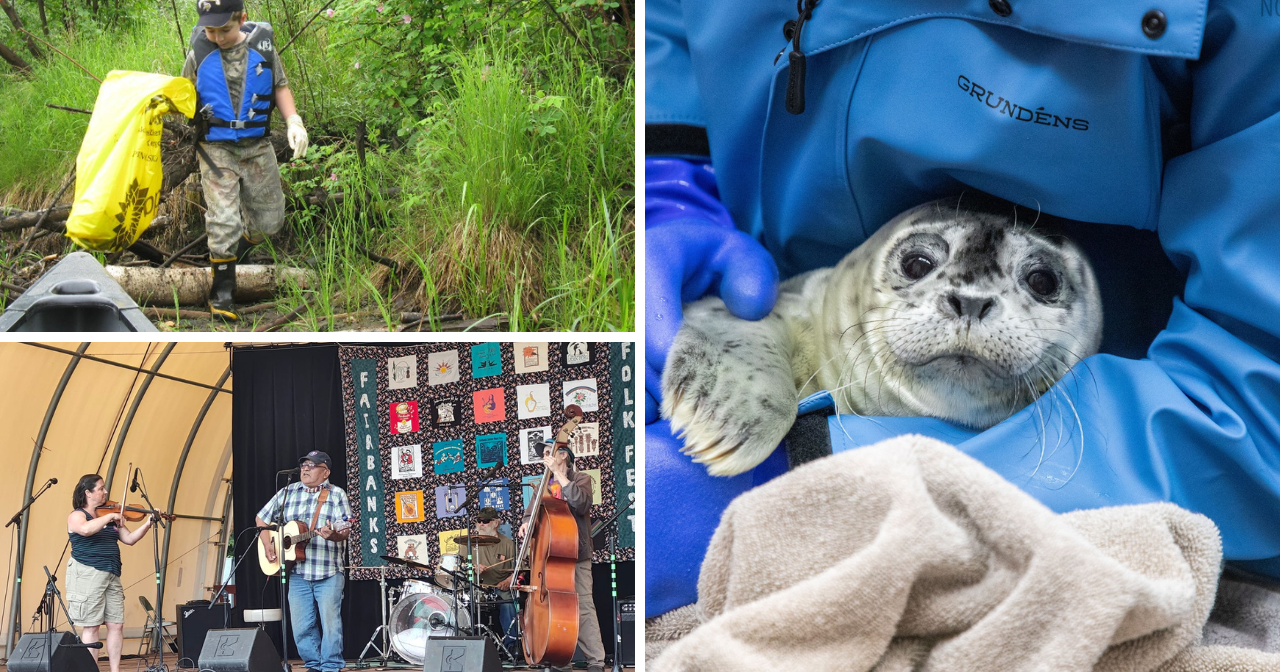 AROUND ALASKA: Stream Cleanup, Fairbanks Folk Festival, and New Patients! - Vimarsana News