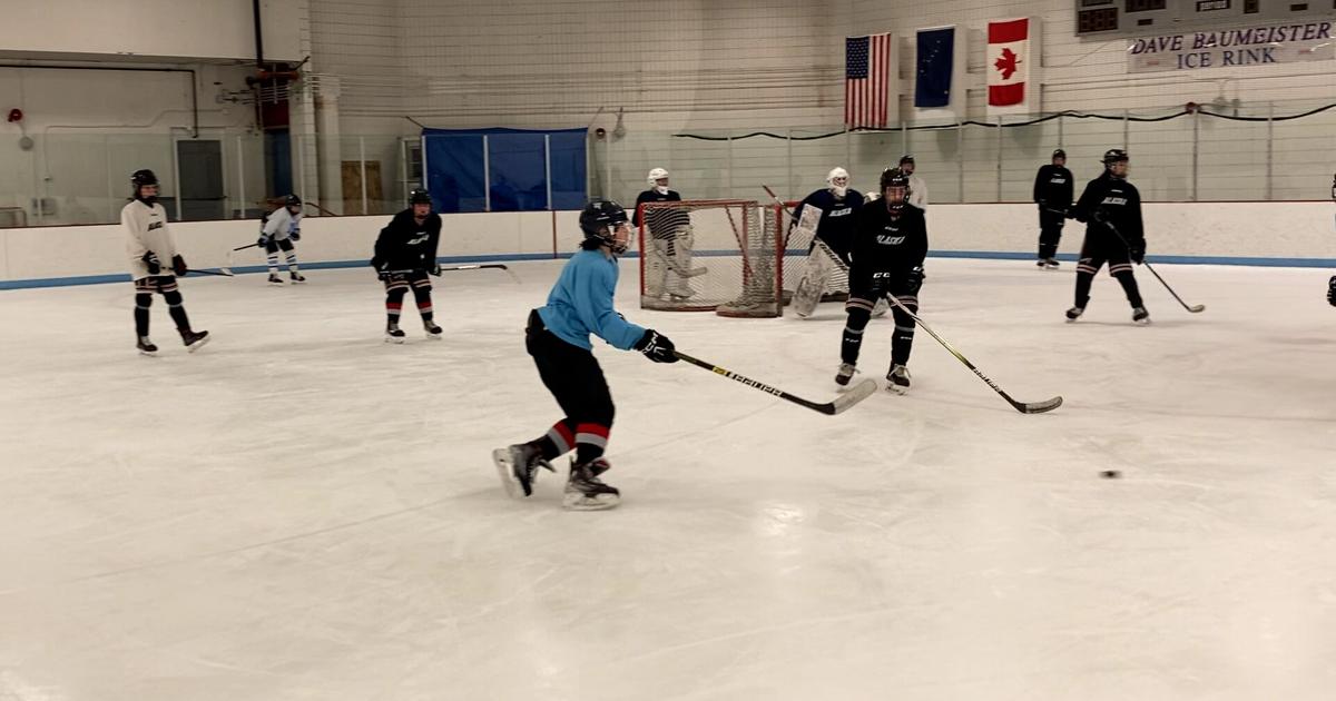 Anchorage assembly weighs new management for city ice arenas
