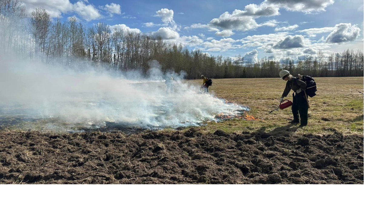 Prescribed burns at Delta Junction Bison Range to begin in early April ...