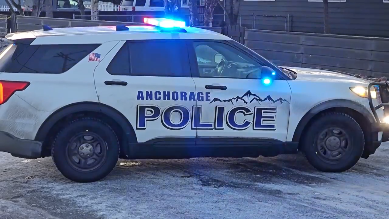 <a href="https://www.youralaskalink.com/news/crime/one-dead-another-injured-in-early-morning-anchorage-shooting-investigation/article_153ebf77-9b8f-41e3-866a-975912705a17.html" target="_blank">One dead, another injured in early morning Anchorage shooting investigation</a>