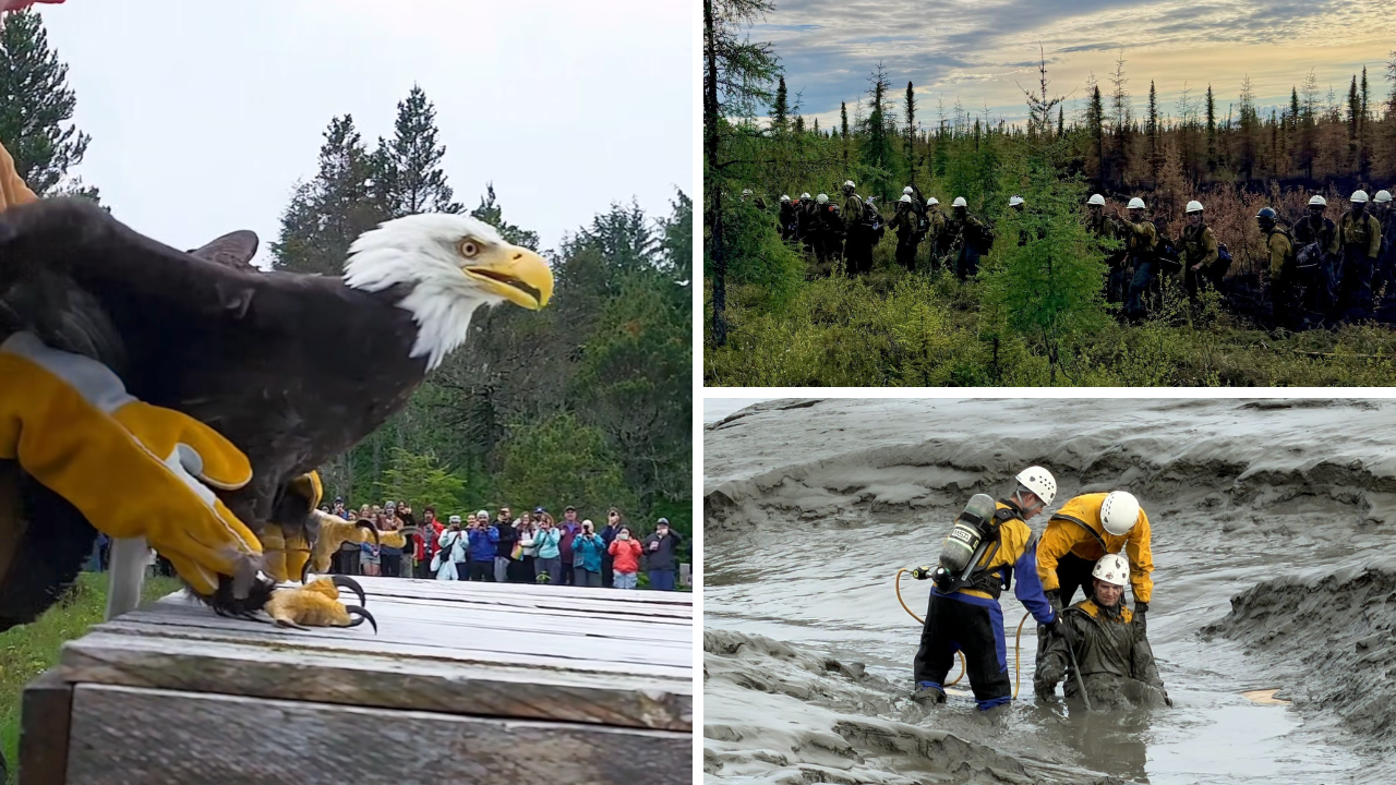 <a href="https://www.youralaskalink.com/around_alaska/around-alaska-fire-response-mud-safety-and-eagle-release/article_a8c00e25-546c-4196-900e-65dd1b23b327.html" target="_blank">AROUND ALASKA: Fire Response, Mud Safety, and Eagle Release!</a>