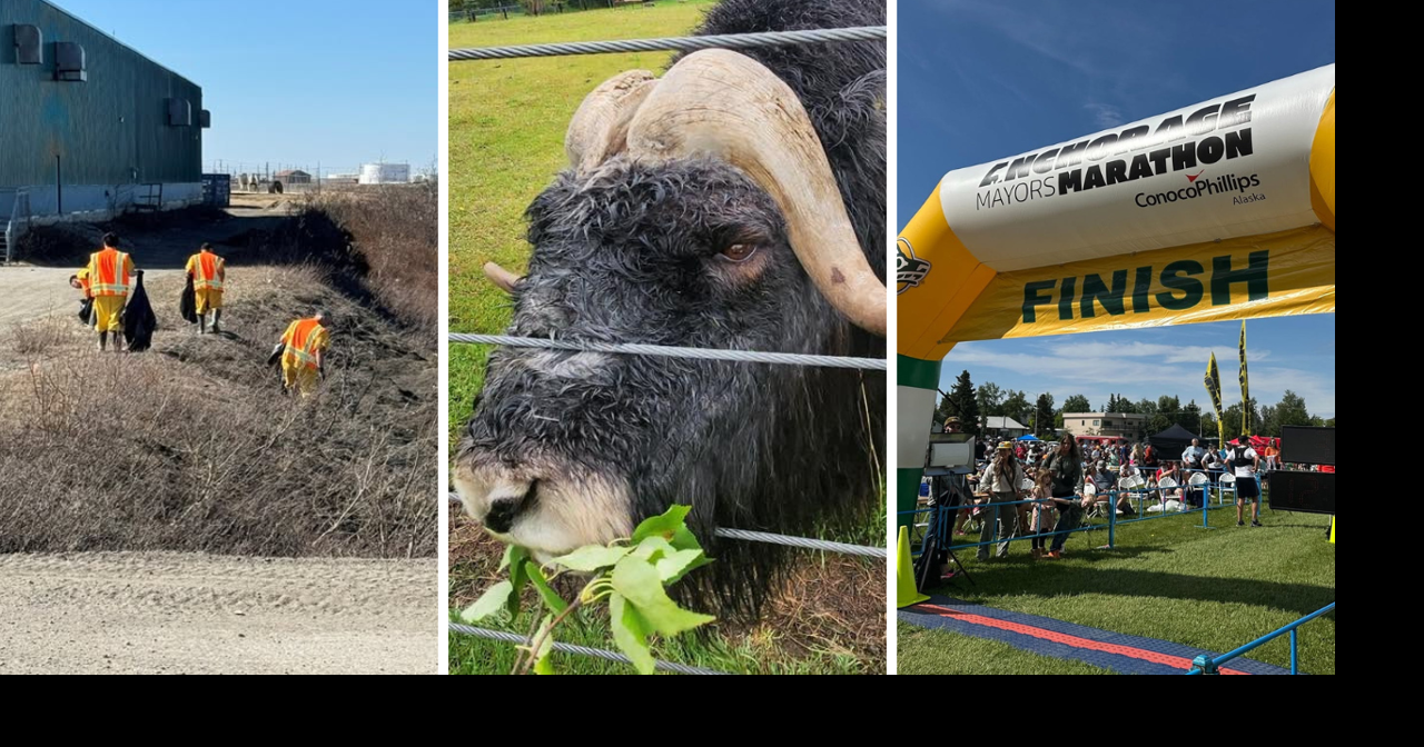 AROUND ALASKA: Nome Cleanup, LARS Opens, and Volunteers Needed!