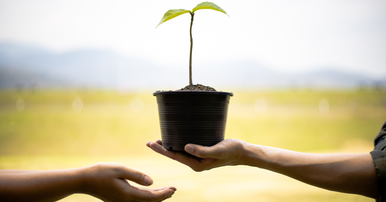 Alaska's Arbor Day: J-BER Students Celebrate 29 Years of Tree City USA Status - Vimarsana News