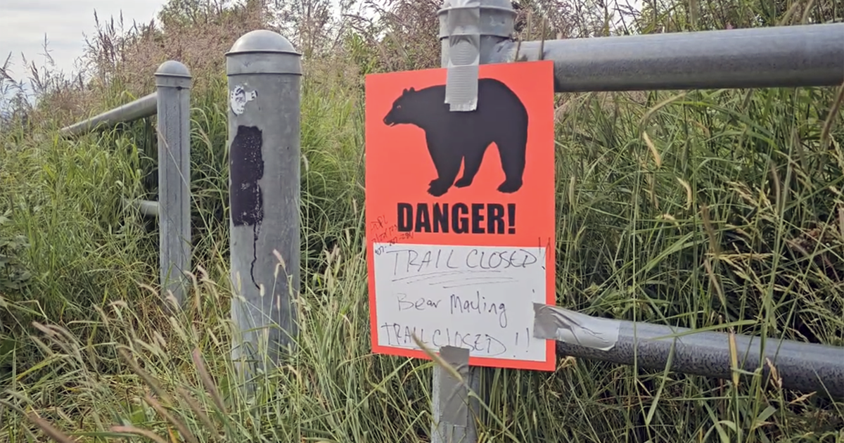 Two bear attacks reported recently in Anchorage area, officials warn hikers