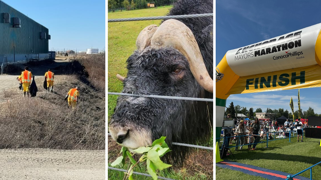 <a href="https://www.youralaskalink.com/around_alaska/around-alaska-nome-cleanup-lars-opens-and-volunteers-needed/article_d1cedcf8-0112-4f2e-b6ed-a0831ea1658b.html" target="_blank">AROUND ALASKA: Nome Cleanup, LARS Opens, and Volunteers Needed!</a>
