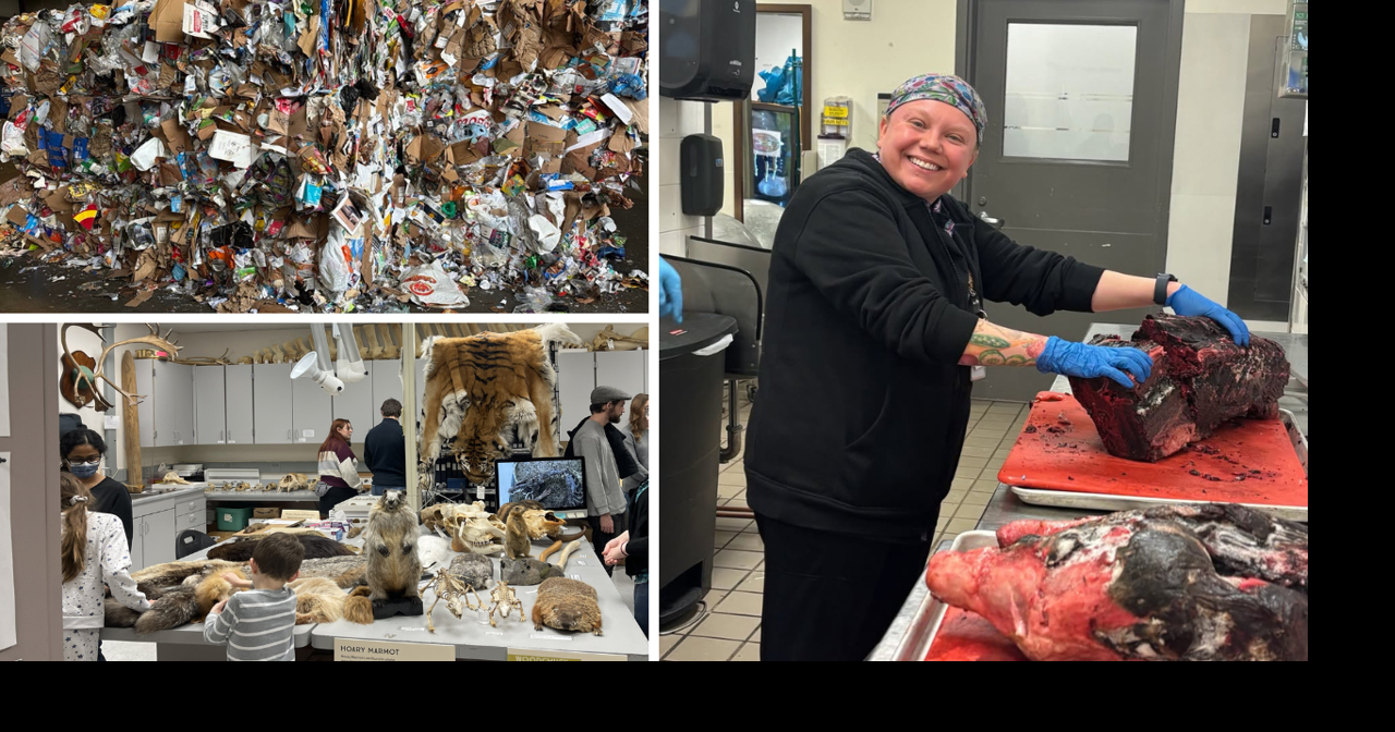 AROUND ALASKA: Recycling Reopens, Museum Open House, and Seal Donation!