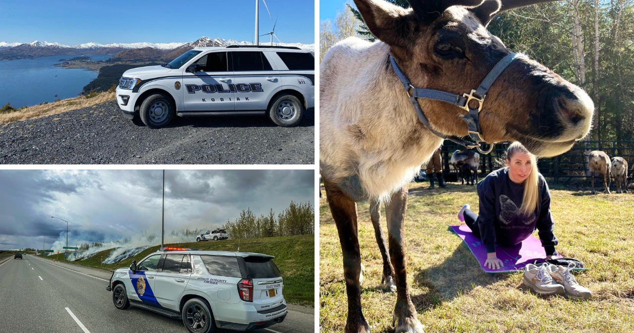 AROUND ALASKA: Officer Shortage, Brush Fires, and Reindeer Yoga?!? - Vimarsana News