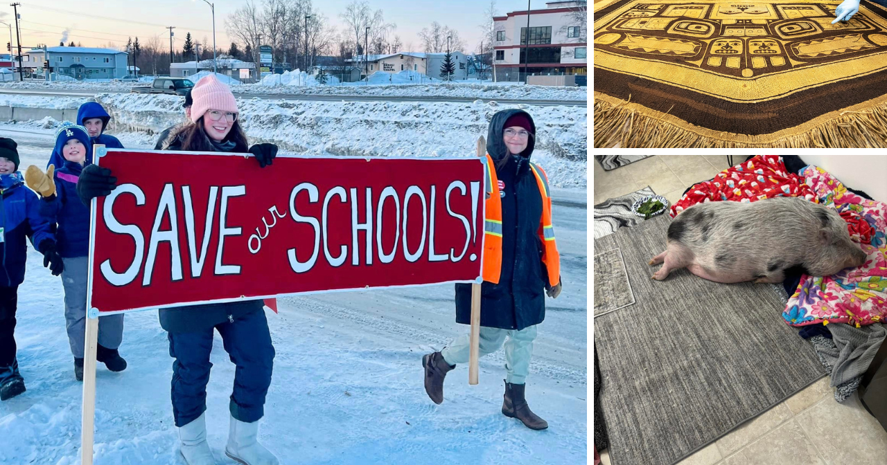 AROUND ALASKA: Save Our Schools, Robe Returns Home, and Piggies Need Blankies! - Vimarsana News