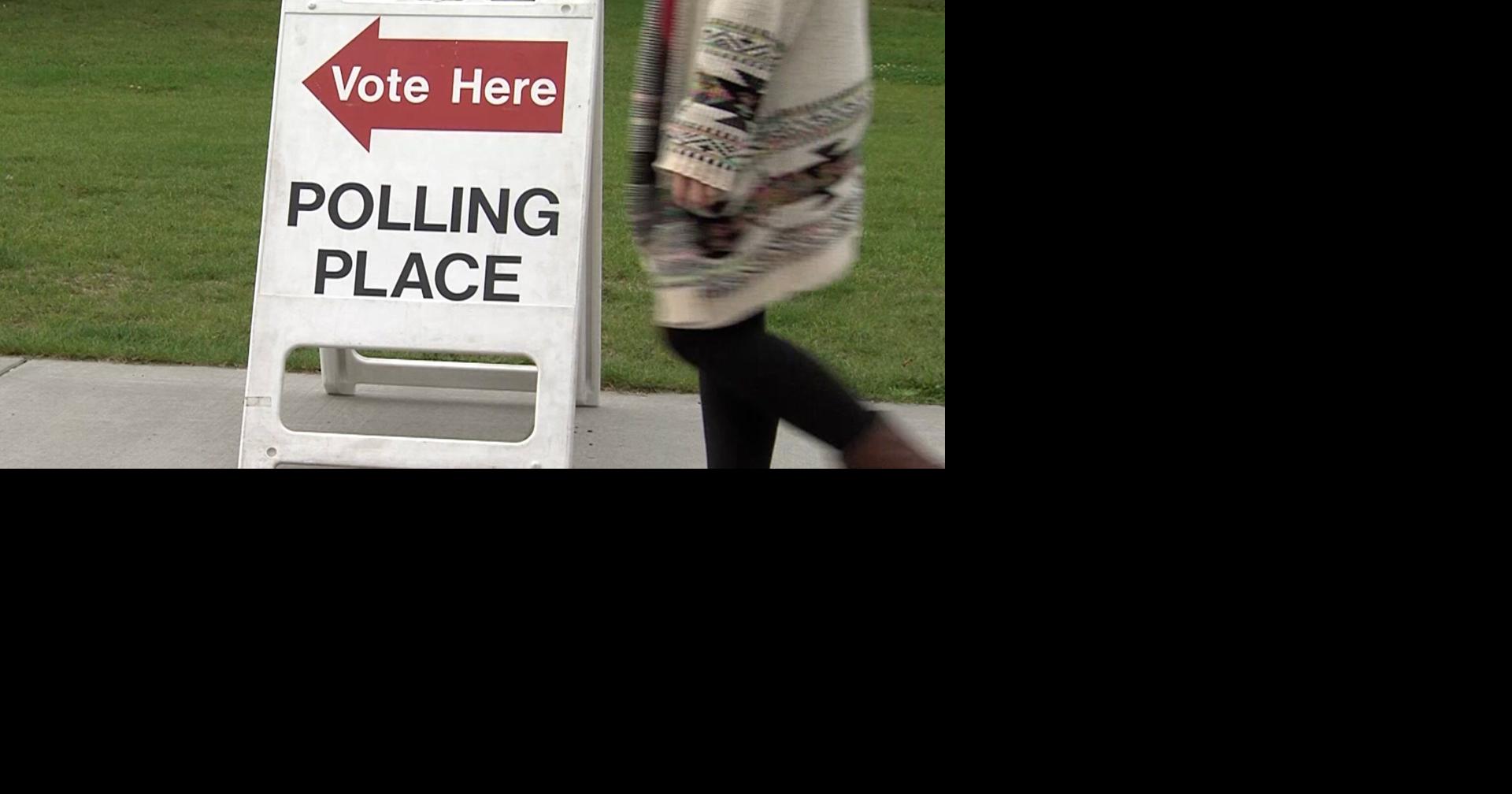 Primary 2024: What You Need To Know Before You Head To The Polls – DFLASJ