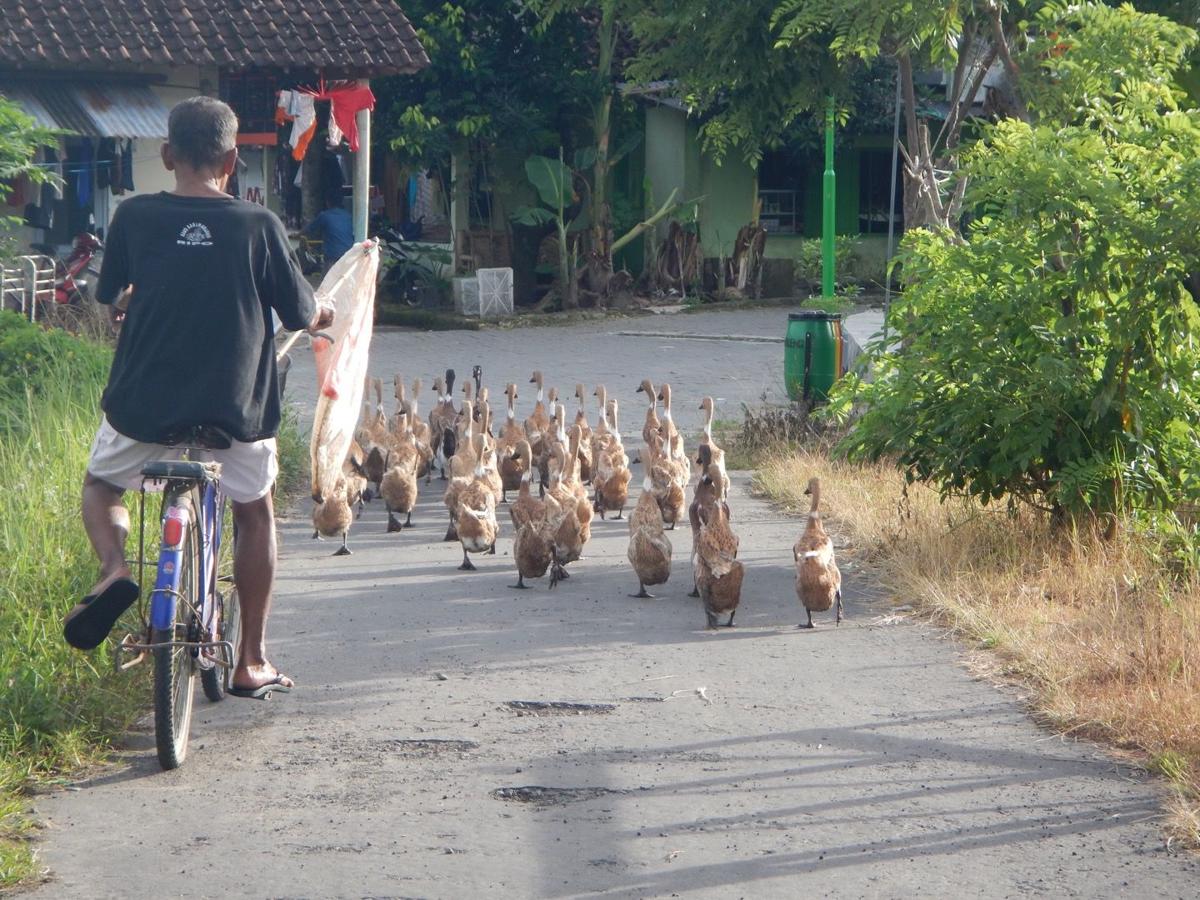 Duck man