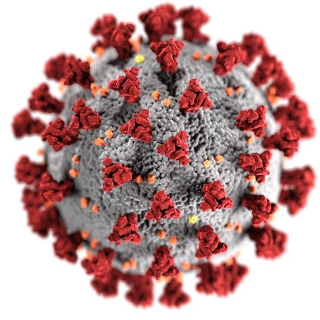 COVID-19 outbreak emerges at Cluster Springs Elementary School | Local News COVID-19 outbreak emerges at Cluster Springs Elementary School | Local News
