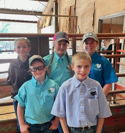 Piedmont Junior Livestock Show