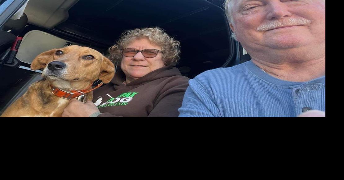 Halifax County couple dedicated to animal rescue | Local News