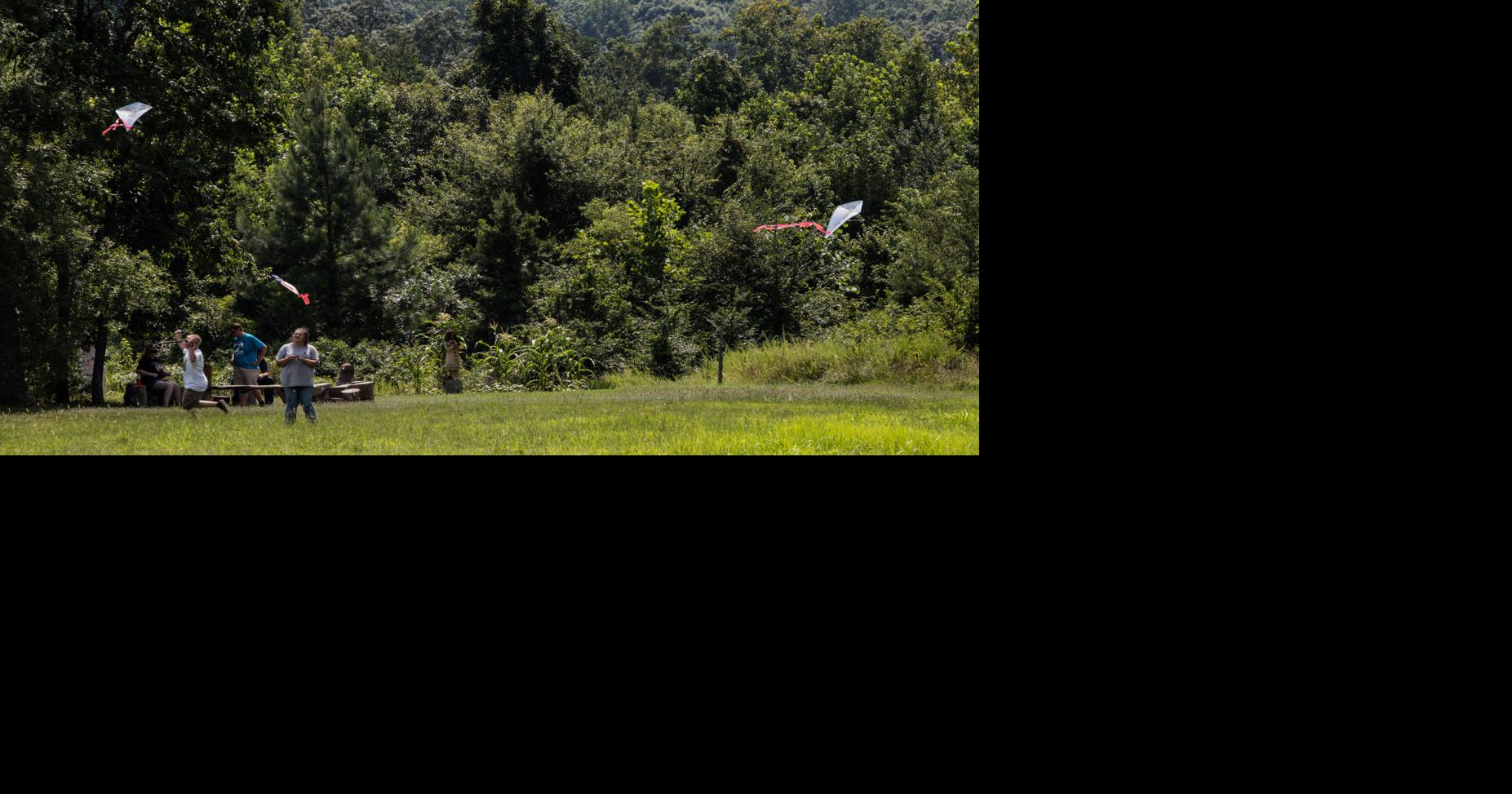 PHOTOS A good day to fly a kite Featured