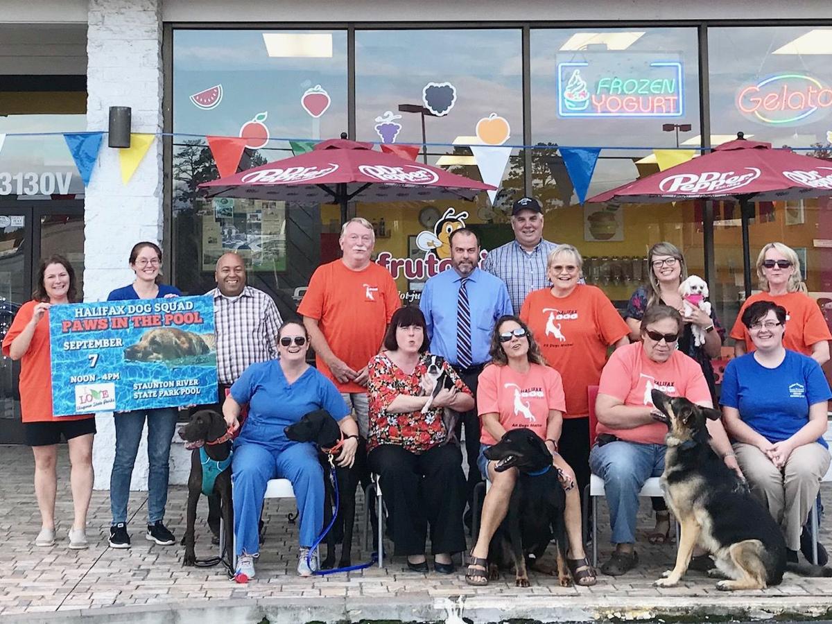 Paws In The Pool Set Sept 7 Local News Yourgv Com