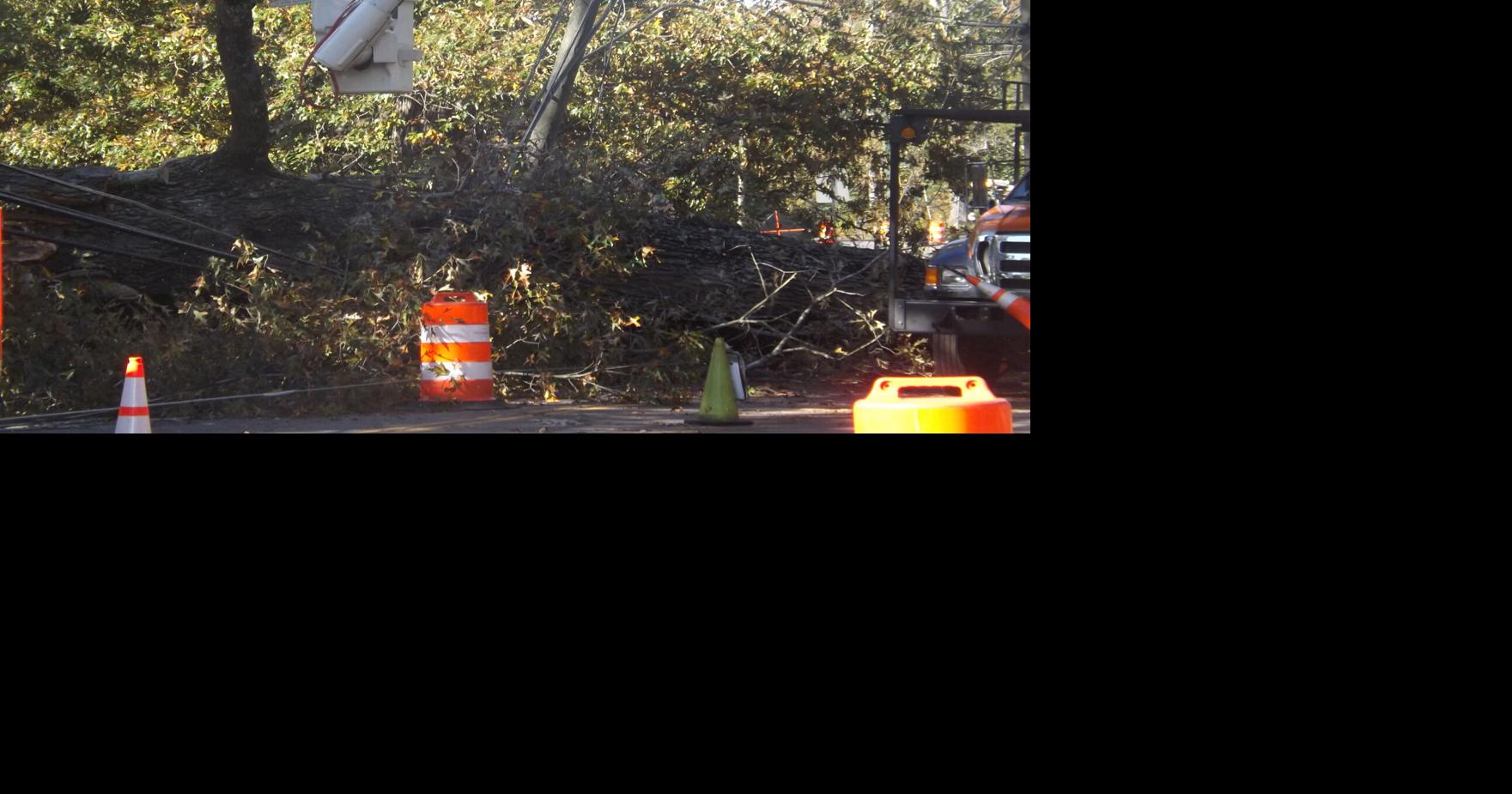 Tropical winds down trees, power lines across Halifax County | Local ...