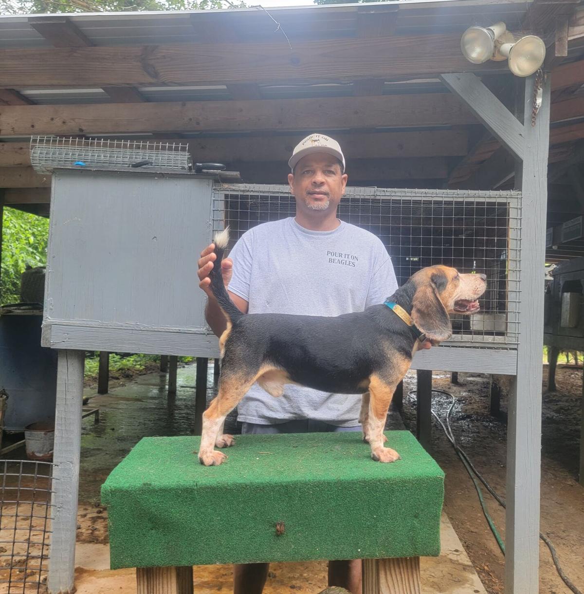 Clover trainer up for United Beagle Gundog Federation National Hall of