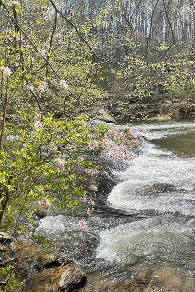 Outing set at future home of state park | County Life | yourgv.com