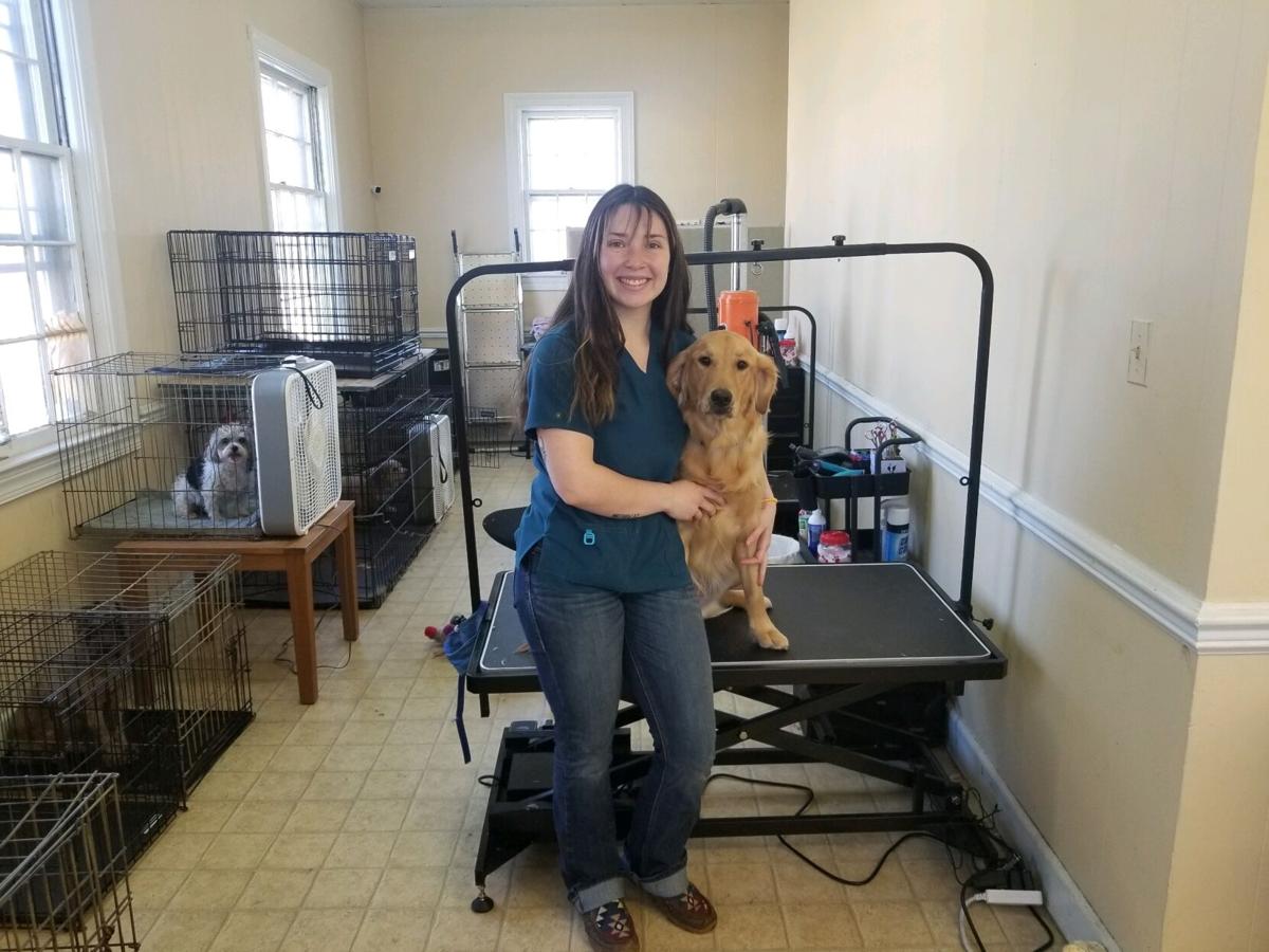 High school graduate taking online college courses, training to be dog  groomer | Local News 