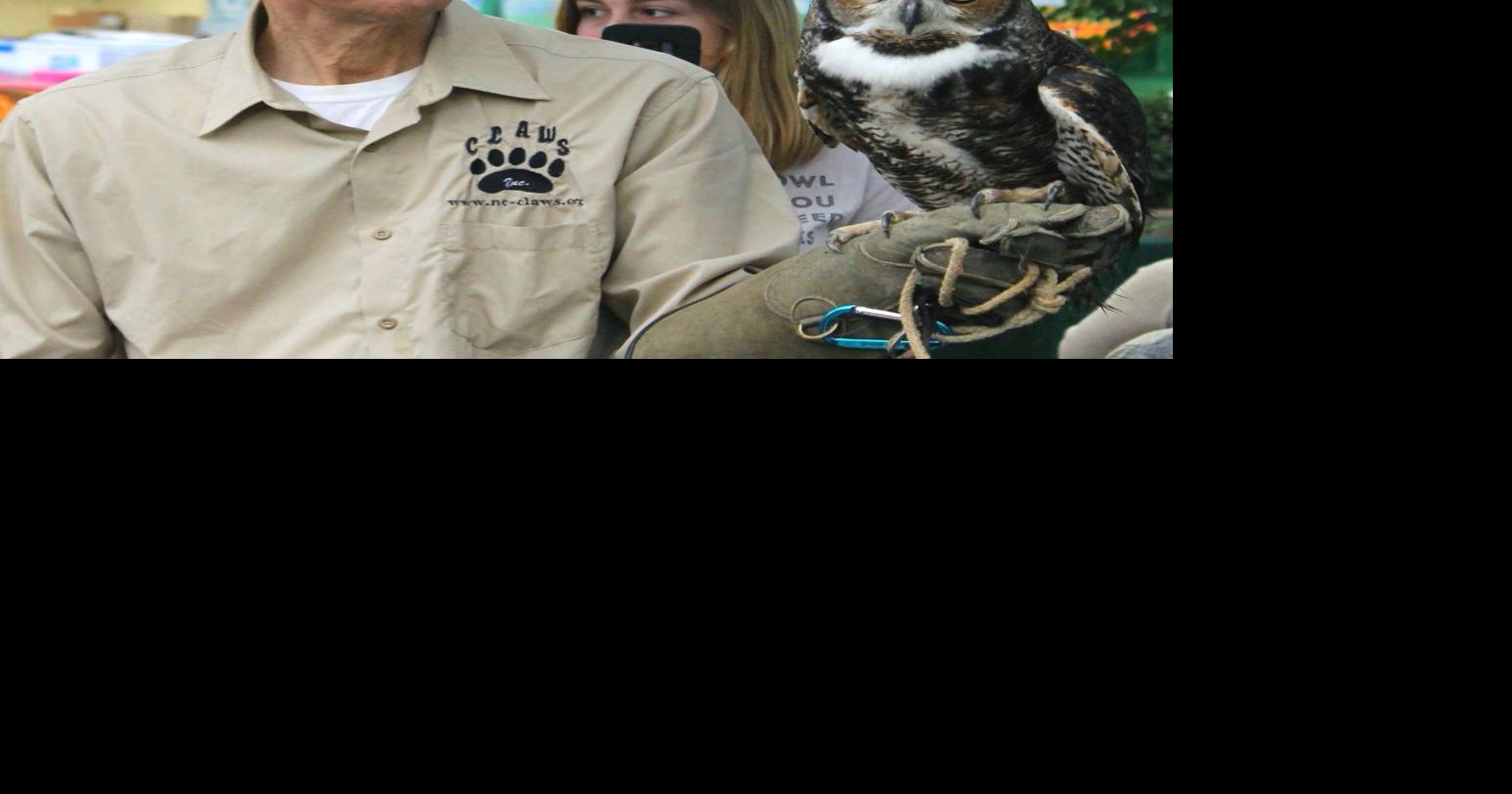 Raptors returning to celebrate National Wild Bird Feeding Month ...