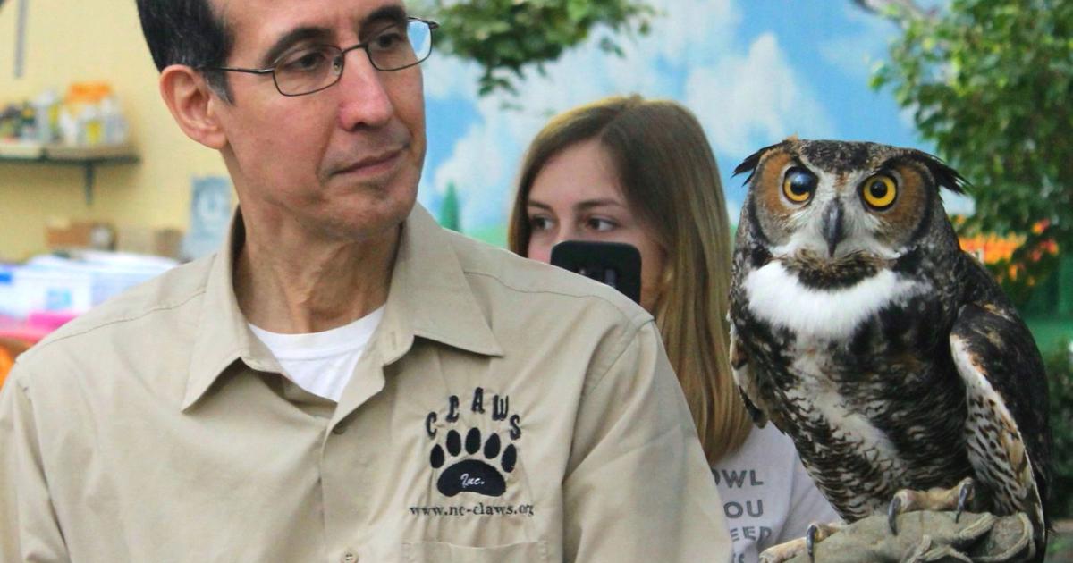 Raptors returning to celebrate National Wild Bird Feeding Month ...