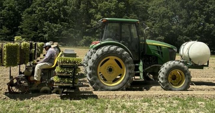 Along with dry weather, up-and-down temperatures impact Halifax County farmers Jun 5, 2026 26 mins ago