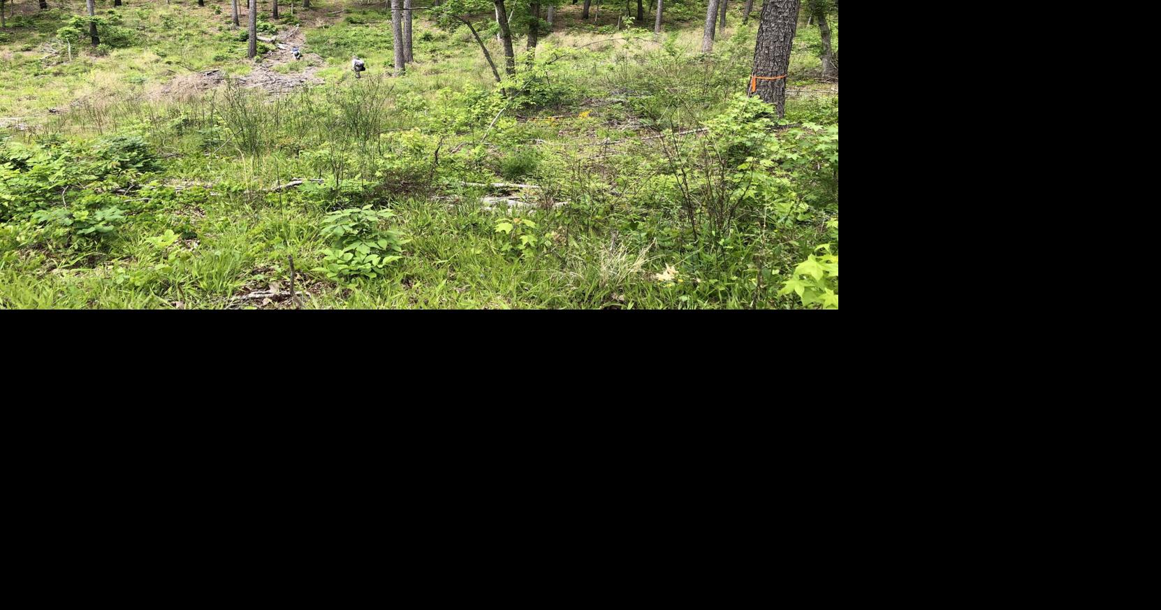 Commonwealth has officially accepted the largest private land donation