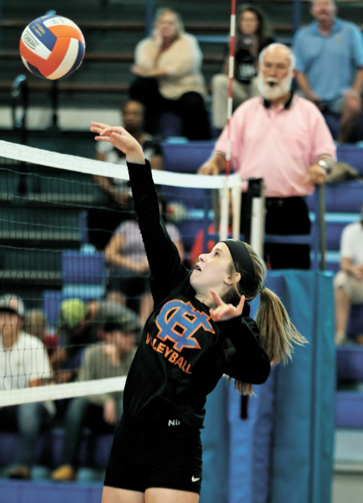 Lions Volleyball Wins Home Finale Prep Sports Yourgv Com