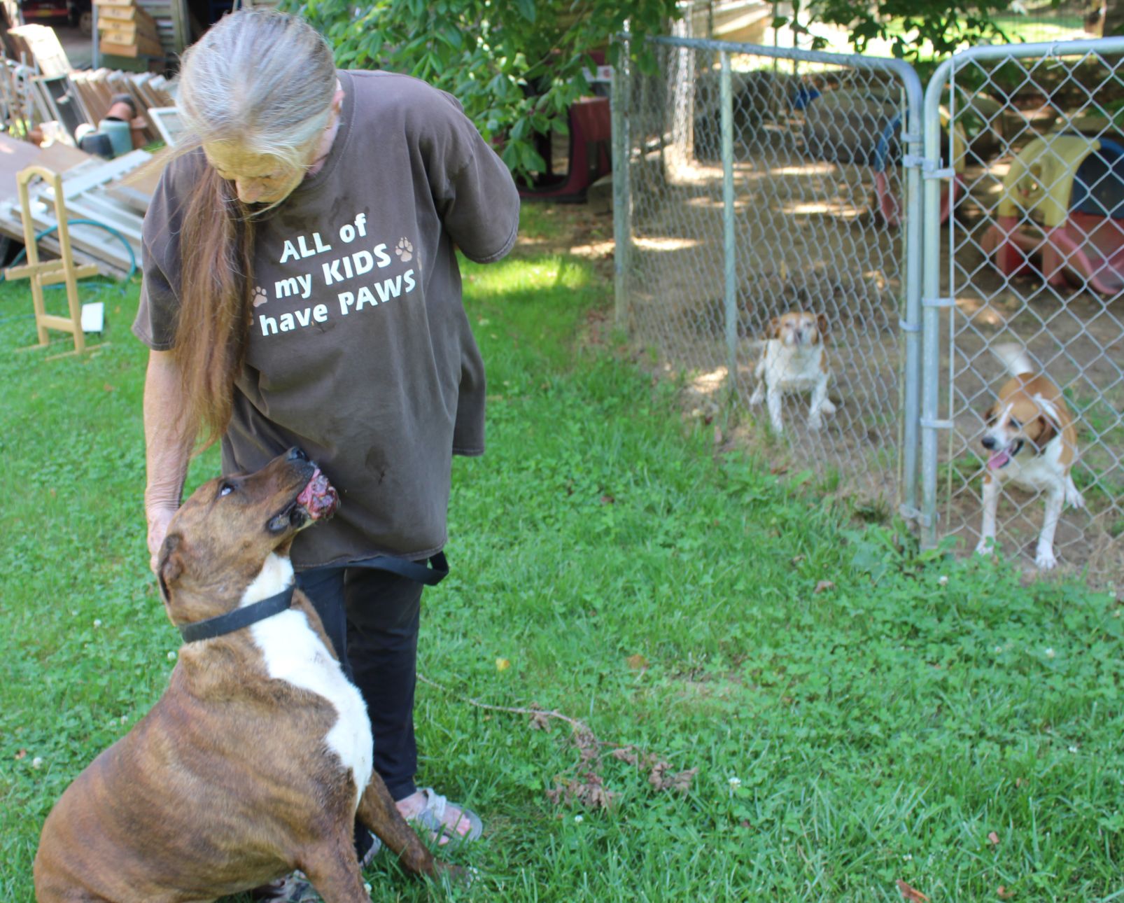 tractor supply veterinary clinic