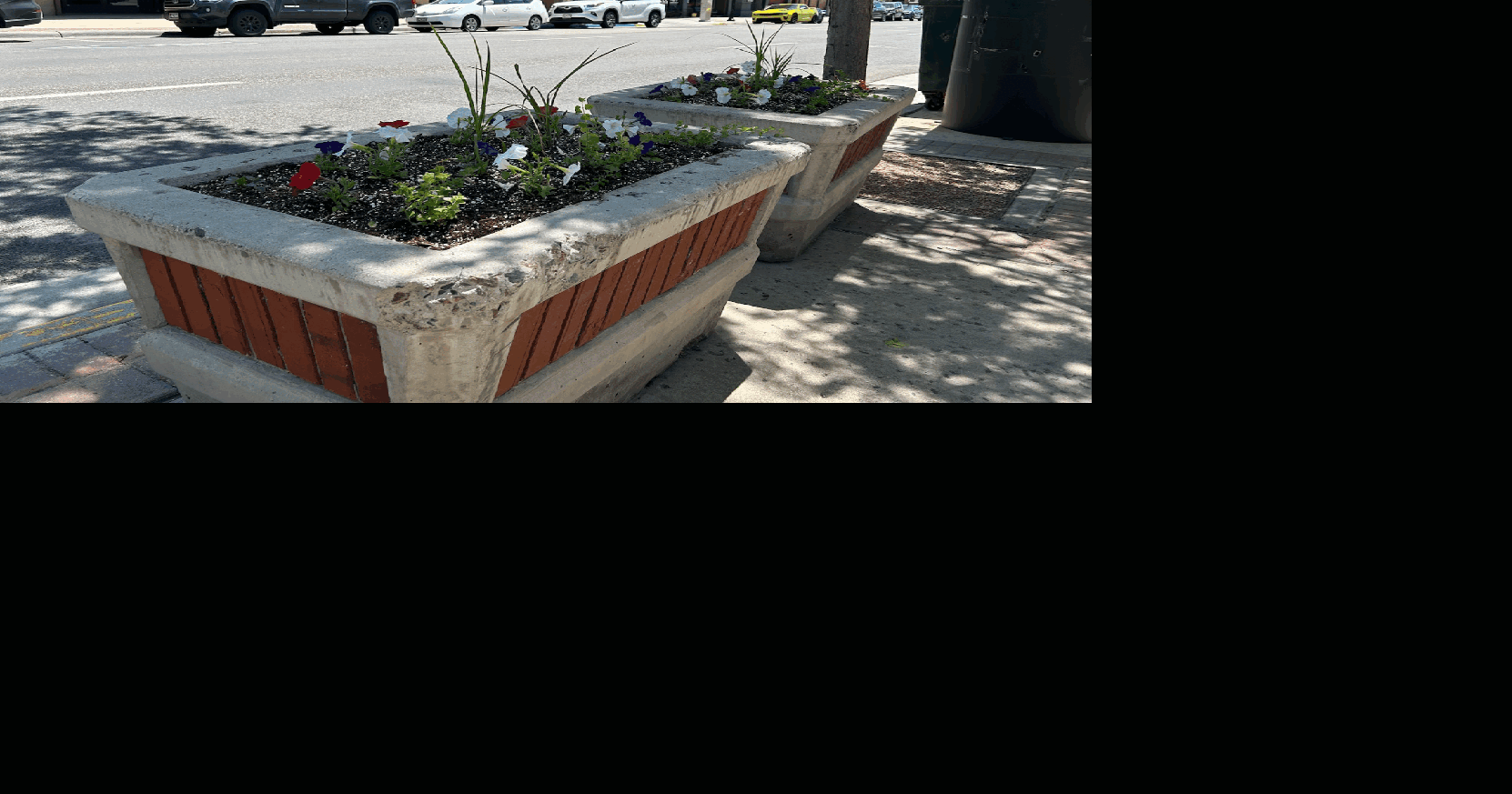 Cheyenne downtown flower thefts continue, DDA seeks answers