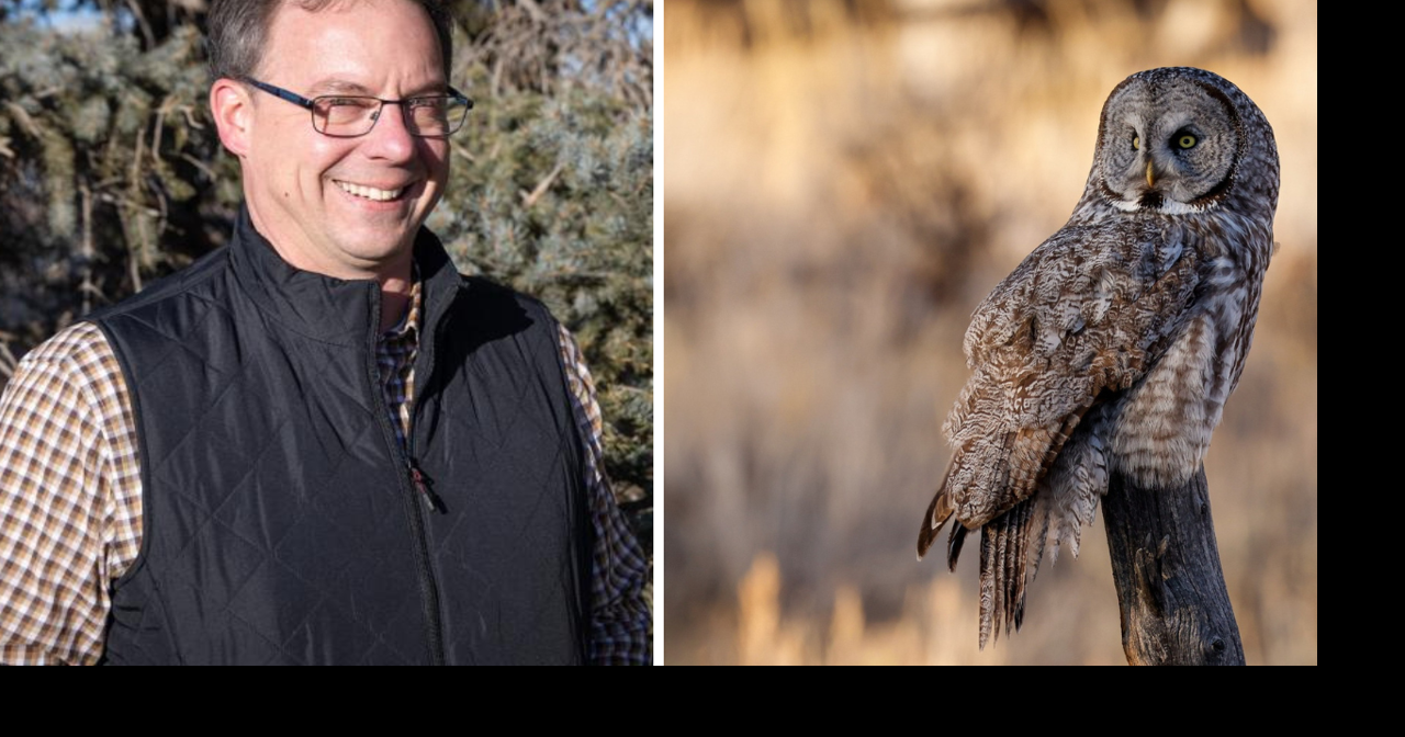 AROUND WYOMING: Flu Fatality, Pipeline Completion and Great Gray Owls!