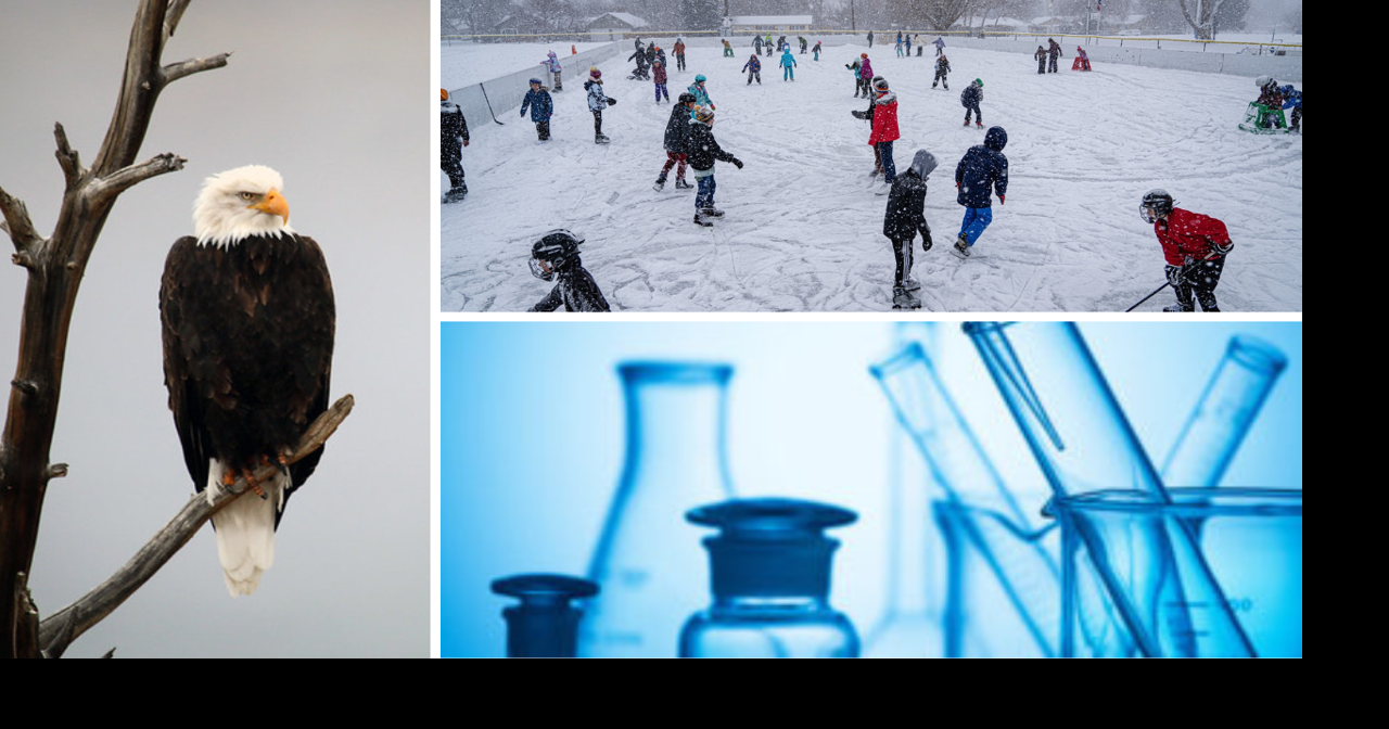 AROUND WYOMING: Measles Cases, Highway Crash and Bald Eagles!