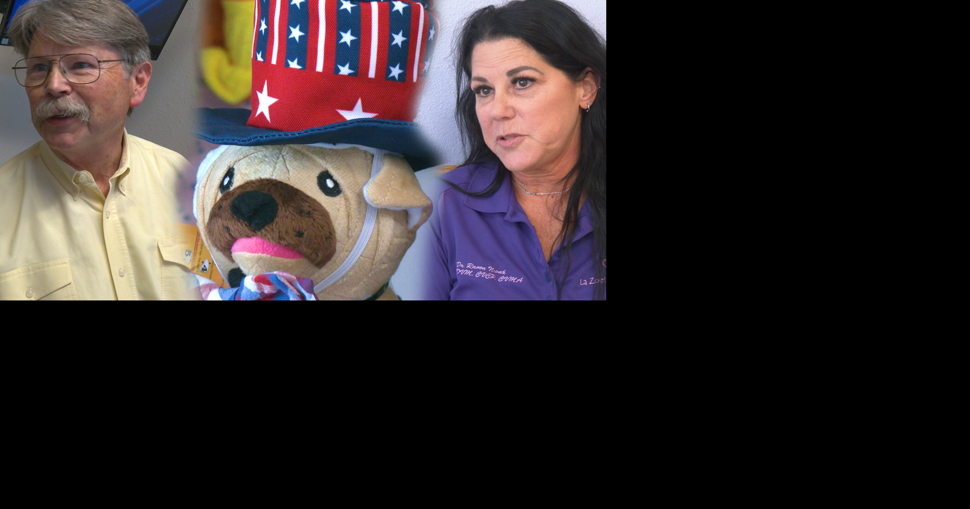 PAW‑Ty Planning for the Fourth of July? Veterinarians Warn Pets Face Risks at BBQs | News