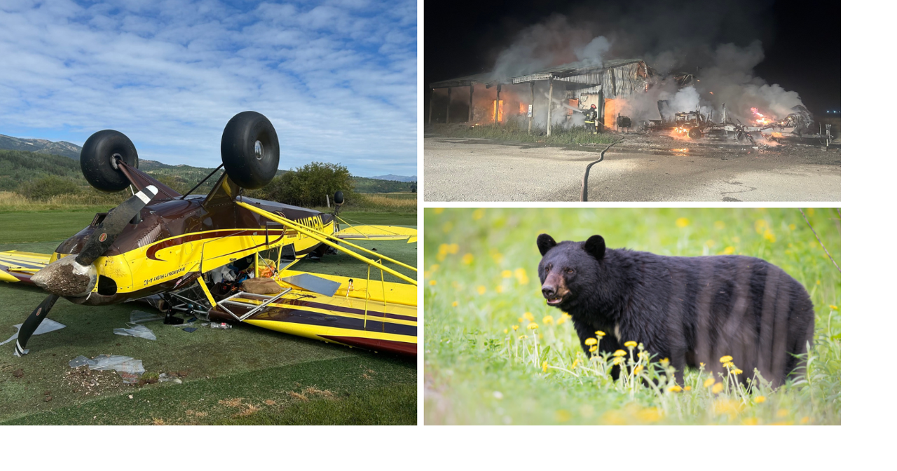 AROUND WYOMING: Plane Crash, Fire Destruction, and Bear Incident!