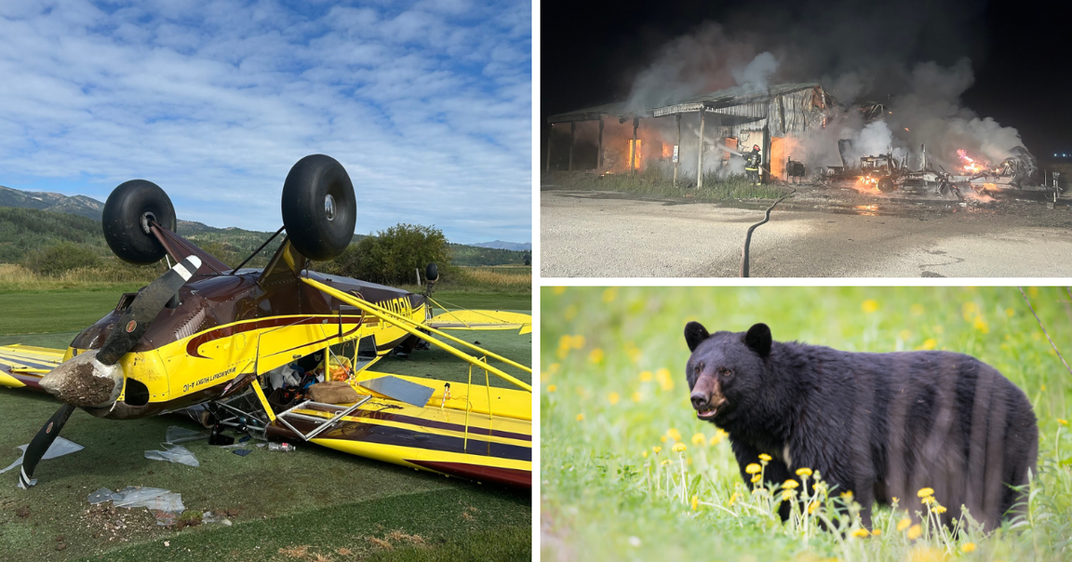 AROUND WYOMING: Plane Crash, Fire Destruction, and Bear Incident!