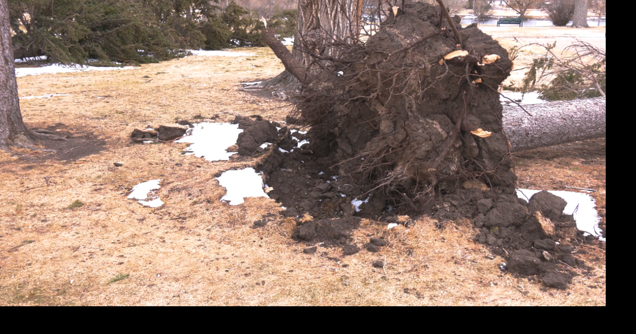 Cheyenne city crews work to recover after historic wind event