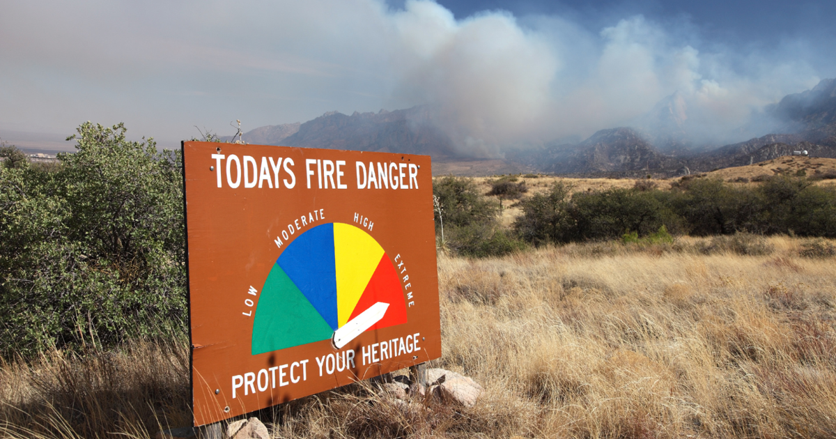 Gov. Gordon to host free Wildlife Recovery Webinar Oct. 8